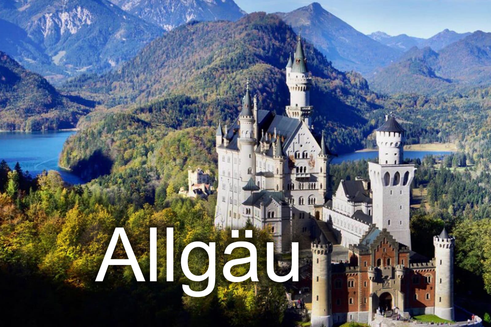 Whatsapp Image 2020 07 15 At 21.35.21(1)