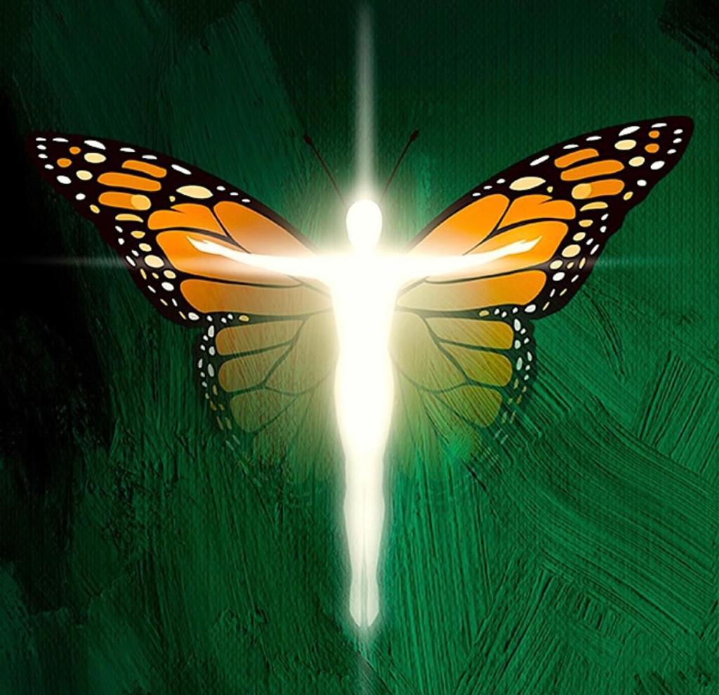 Whatsapp Image 2020 09 27 At 15.59.25