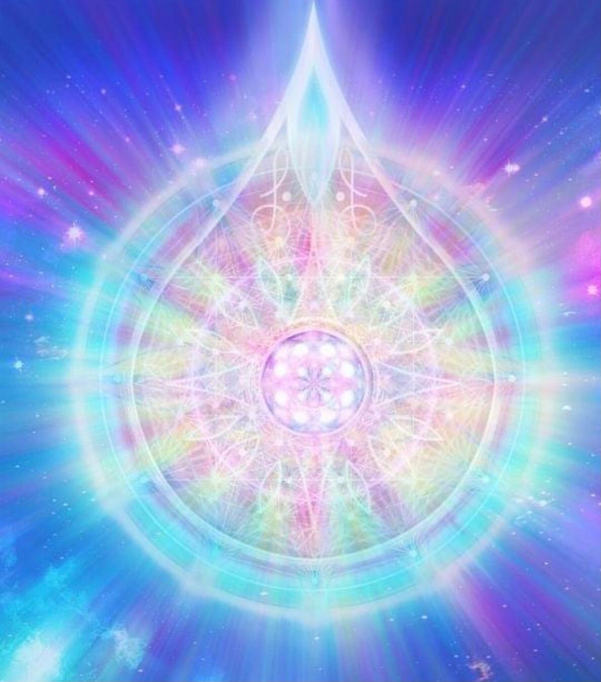 Whatsapp Image 2021 05 18 At 17.12.56