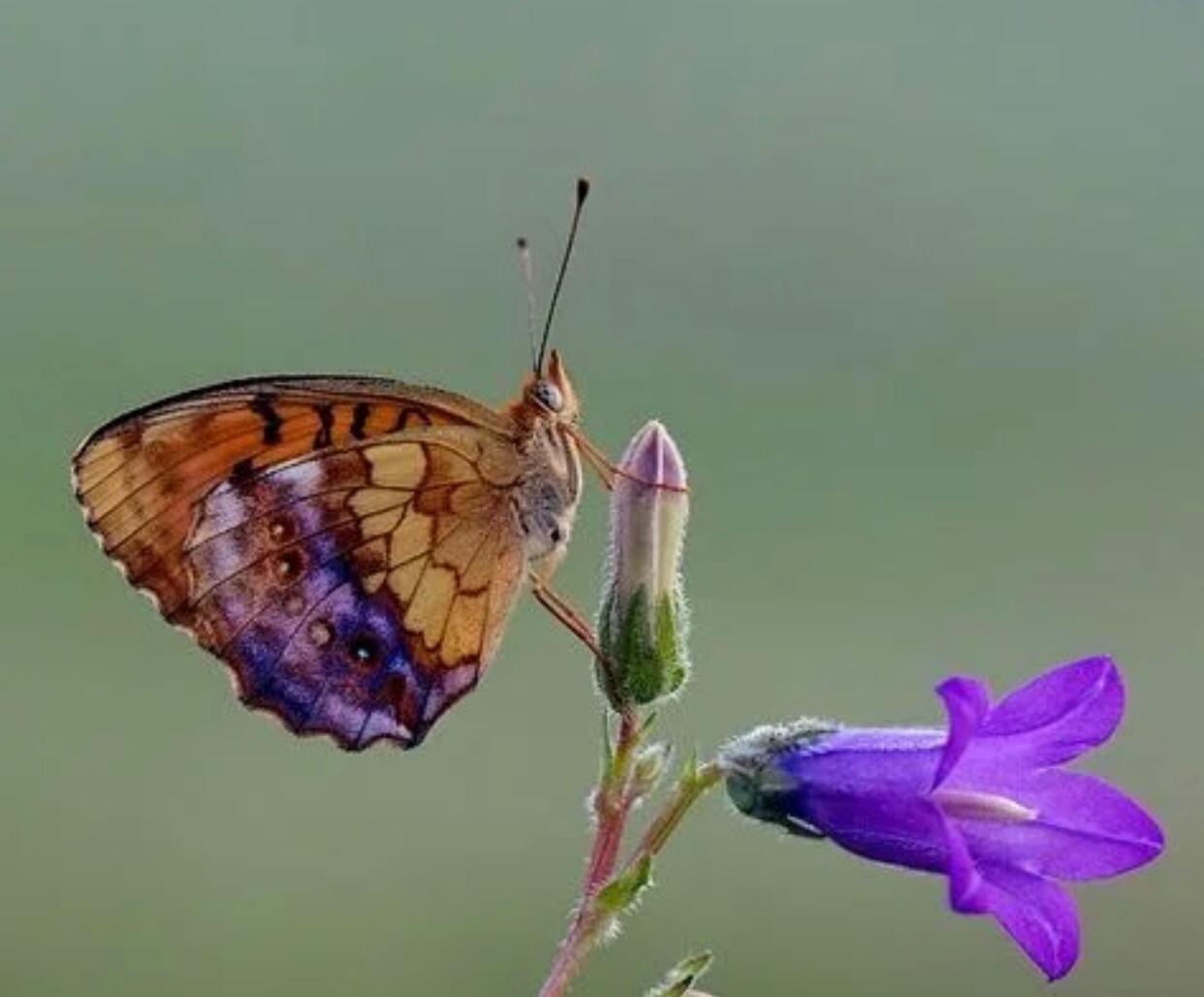 Whatsapp Image 2021 05 18 At 17.28.51