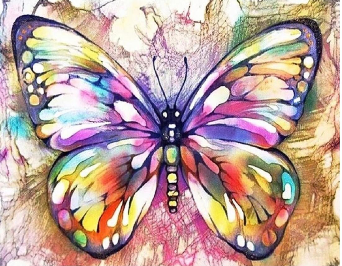 Whatsapp Image 2021 05 18 At 17.28.56