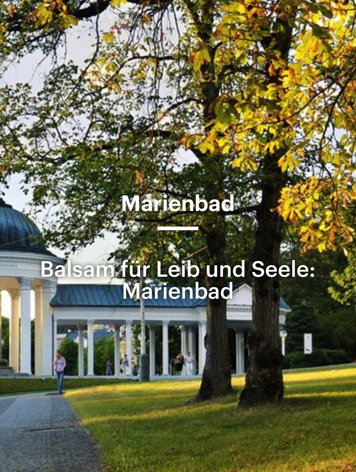 Whatsapp Image 2022 08 29 At 18.57.53