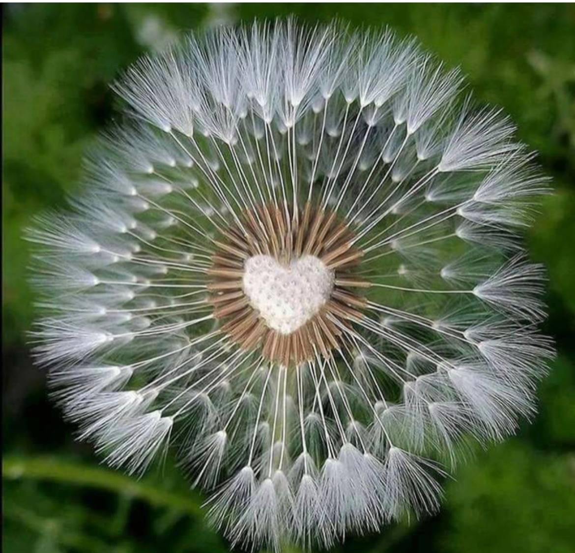 Photo 2023 08 08 12 05 32