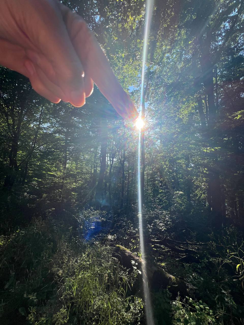 Photo 2024 07 21 18 52 44